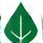 Leaf shield icon